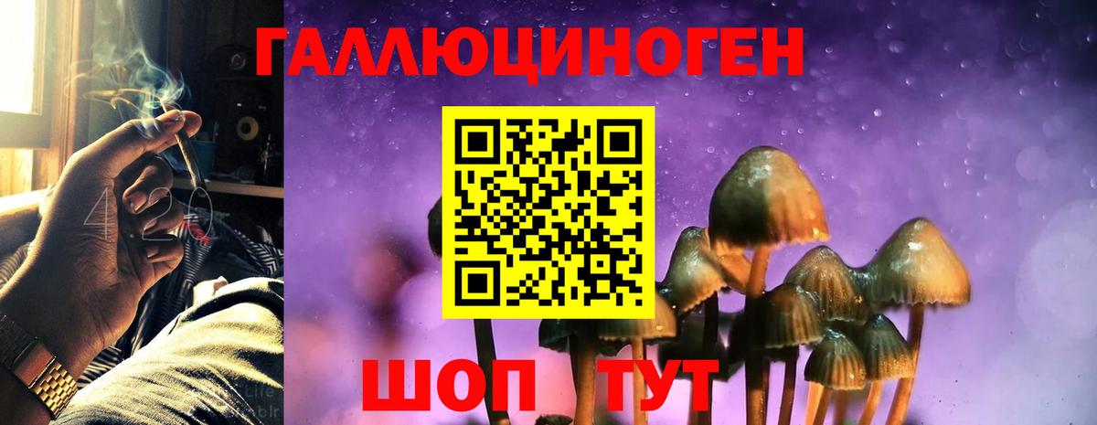 Псилоцибиновые грибы прущие грибы  Вход с VPN  Рассказово 